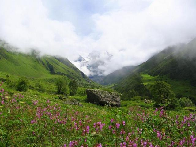 valley_of_flowers_uttaranchal_full_view