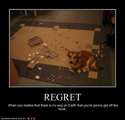 funny-dog-pictures-regret-realize