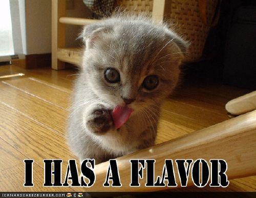 funny-pictures-kitten-has-flavor